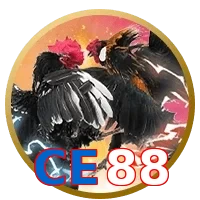 CE88