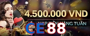CE88